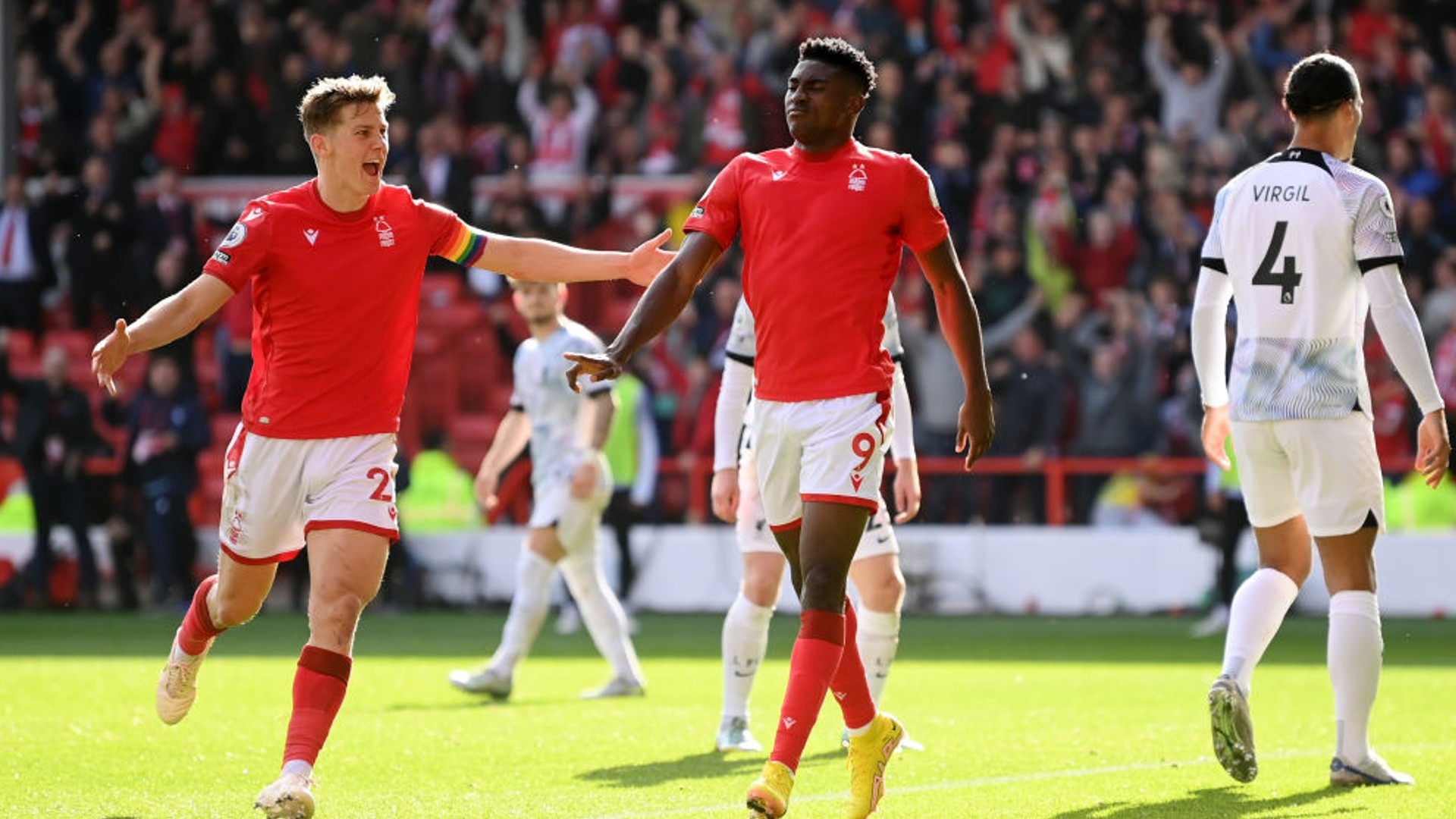 布朗尼和马 布朗尼和马